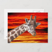 Giraffe Animal Portret tegen een Sunset Sky Briefkaart (Voorkant / Achterkant)