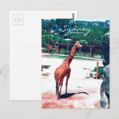 Giraffe Animal Sydney Australië Briefkaart (Voorkant / Achterkant)