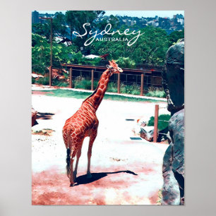 Giraffe Animal Sydney Australië Poster