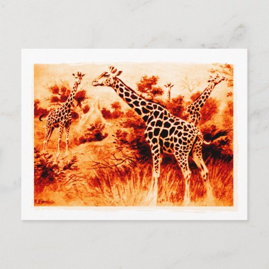 Giraffe Ansichtkaart Briefkaart (Voorkant)