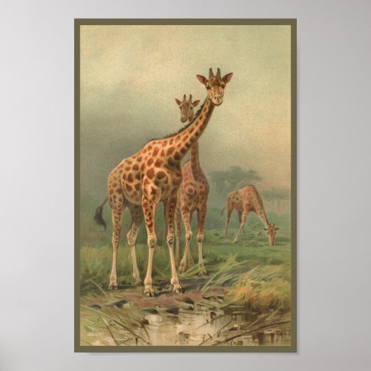  Giraffe Art AfdrukAfrikaanse platen aanpassen Poster (Voorkant)
