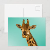 GIRAFFE ART BRIEFKAARTEN (Voorkant / Achterkant)