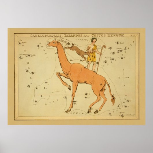 Giraffe - Astronomisch ster Afbeelding Poster (Voorkant)