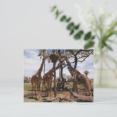 Giraffe Attack Briefkaart (Staand voorkant)
