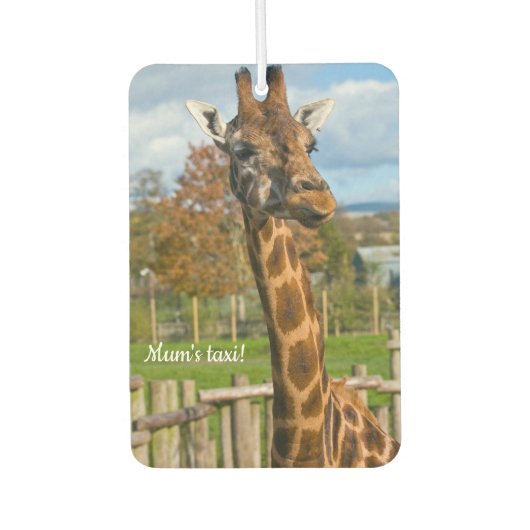 Giraffe auto geurverfrisser luchtverfrisser (Voorkant)