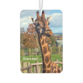 Giraffe auto geurverfrisser luchtverfrisser (Achterkant)