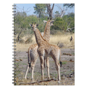 Giraffe Babies spiral notebook/journal Notitieboek