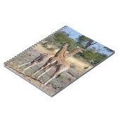 Giraffe Babies spiral notitieboek (Linkerzijde)