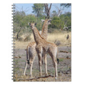 Giraffe Babies spiral notitieboek (Voorkant)