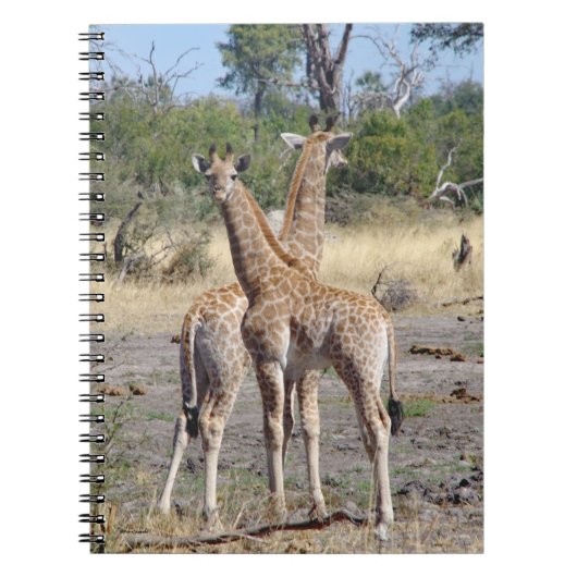 Giraffe Babies spiral notitieboek (Voorkant)