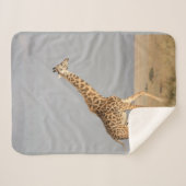 Giraffe Baby banket Small Sherpa Deken (Voorkant (horizontaal))
