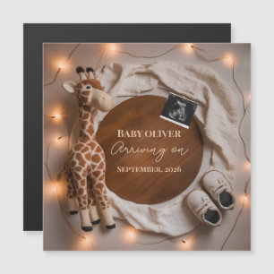 giraffe baby onthulling zwangerschapsaankondiging
