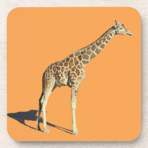 Giraffe Bier Onderzetter