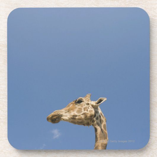 Giraffe Bier Onderzetter (Voorkant)