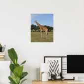 Giraffe bij Fossil Rim Poster (Thuiskantoor)
