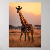 Giraffe bij zonsondergang - Wildlife Illustration Poster (Voorkant)