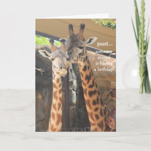 Giraffe Birthday Card voor iemand speciaal Kaart