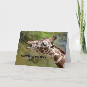 Giraffe Birthday Kaart