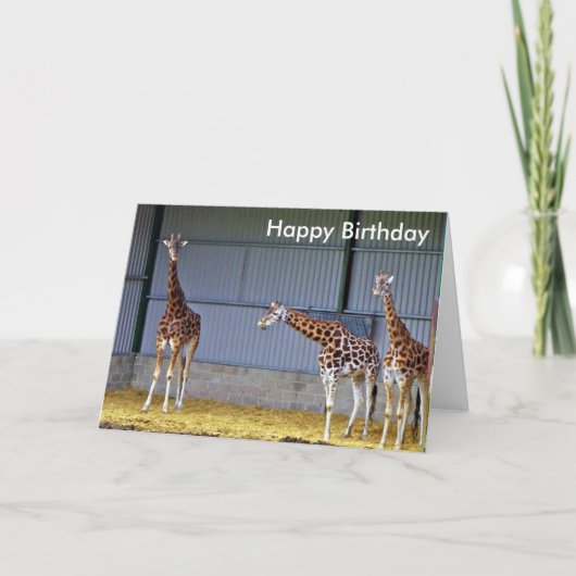 Giraffe Birthday-kaart Kaart (Voorkant)