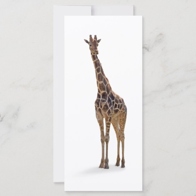 Giraffe Bladwijzer / Rackcard (Voorkant)