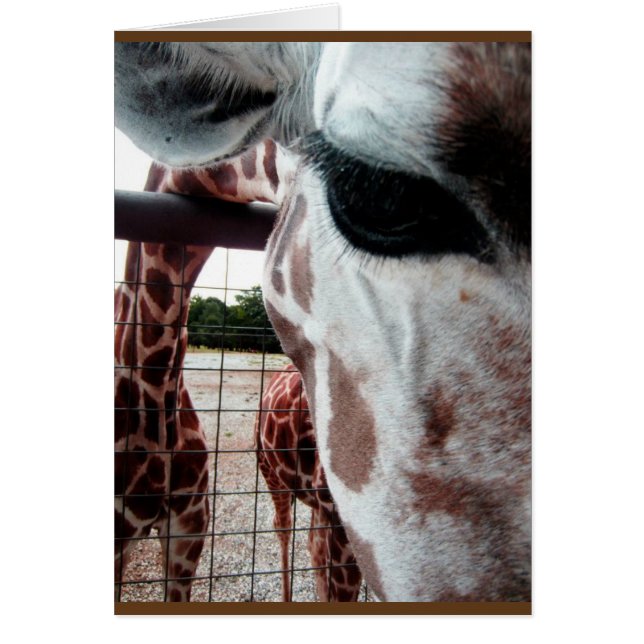 Giraffe blanco kaart (Voorkant)