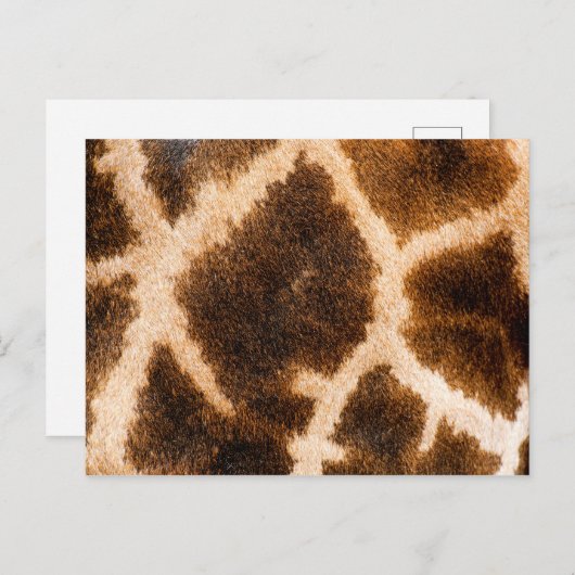 Giraffe bonpatroon briefkaart (Voorkant / Achterkant)