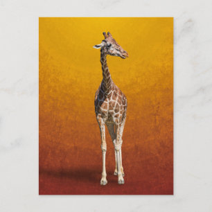 GIRAFFE BRIEFKAART