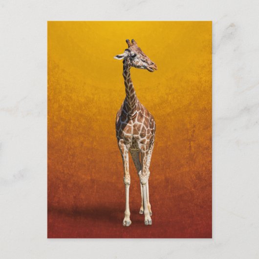 GIRAFFE BRIEFKAART (Voorkant)