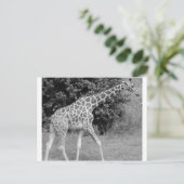 giraffe briefkaart (Staand voorkant)