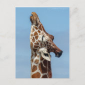 Giraffe Briefkaart (Voorkant)