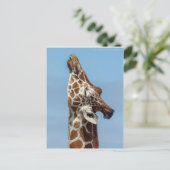 Giraffe Briefkaart (Staand voorkant)