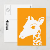 giraffe briefkaart (Voorkant / Achterkant)