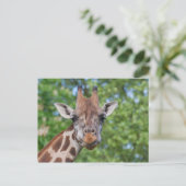 Giraffe Briefkaart (Staand voorkant)