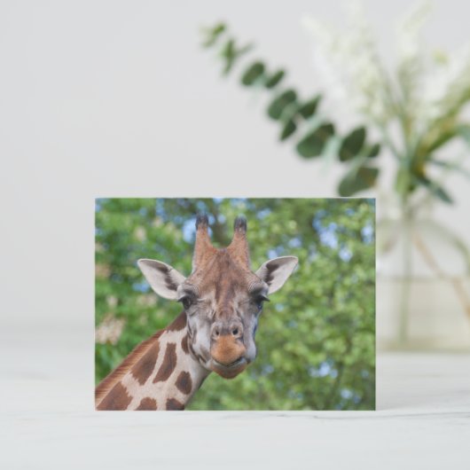 Giraffe Briefkaart (Staand voorkant)