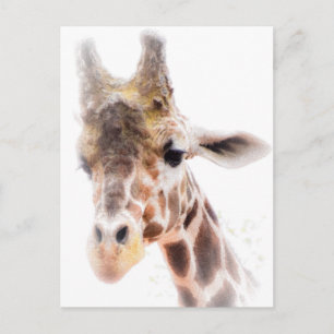 Giraffe Briefkaart