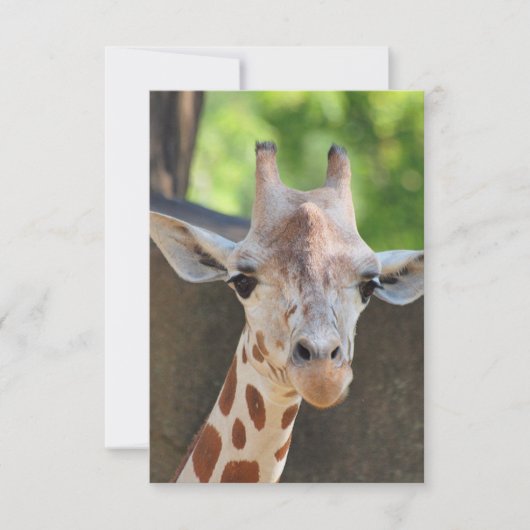 Giraffe Briefkaart (Voorkant)