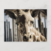 Giraffe Briefkaart (Voorkant)