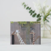 Giraffe Briefkaart (Staand voorkant)