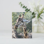 Giraffe Briefkaart (Staand voorkant)