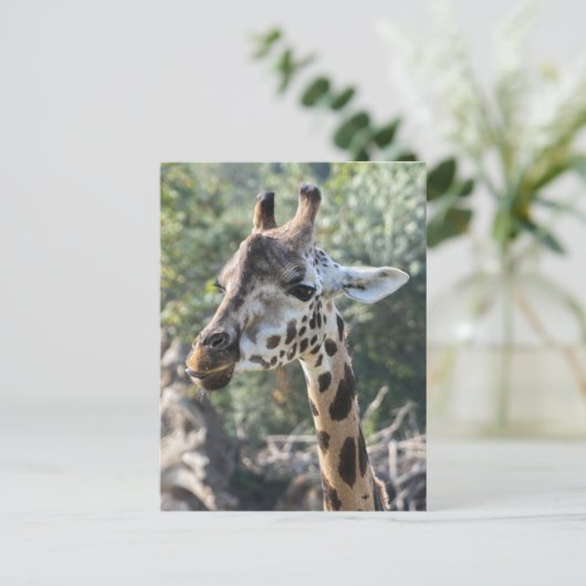 Giraffe Briefkaart (Staand voorkant)