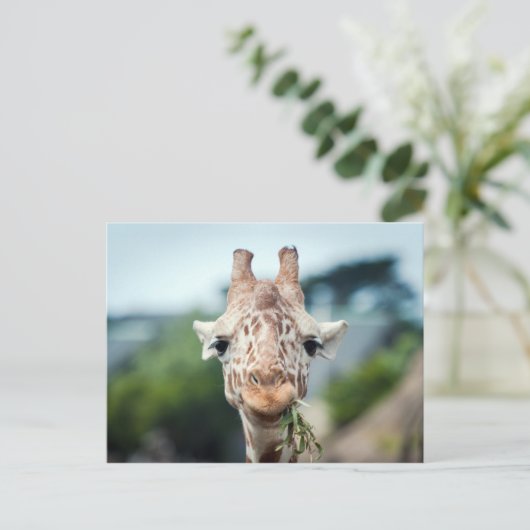 Giraffe Briefkaart (Staand voorkant)