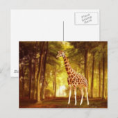 Giraffe Briefkaart (Voorkant / Achterkant)