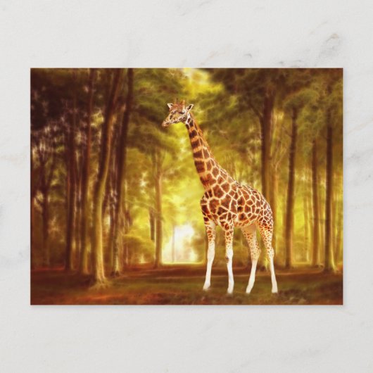 Giraffe Briefkaart (Voorkant)