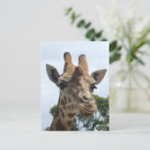 Giraffe Briefkaart (Staand voorkant)