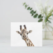 Giraffe Briefkaart (Staand voorkant)