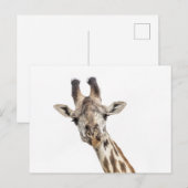 Giraffe Briefkaart (Voorkant / Achterkant)