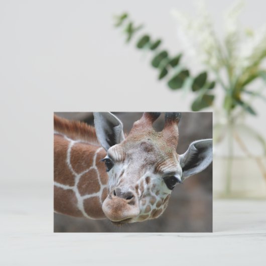Giraffe Briefkaart (Staand voorkant)
