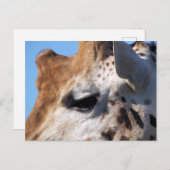 GIRAFFE BRIEFKAART (Voorkant / Achterkant)