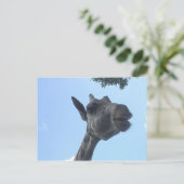 Giraffe Briefkaart (Staand voorkant)