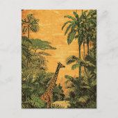 Giraffe  briefkaart (Voorkant)